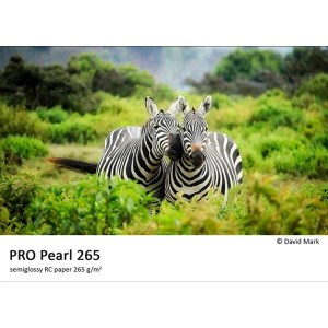 Pro Pearl 265